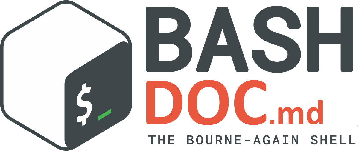 Docker bash