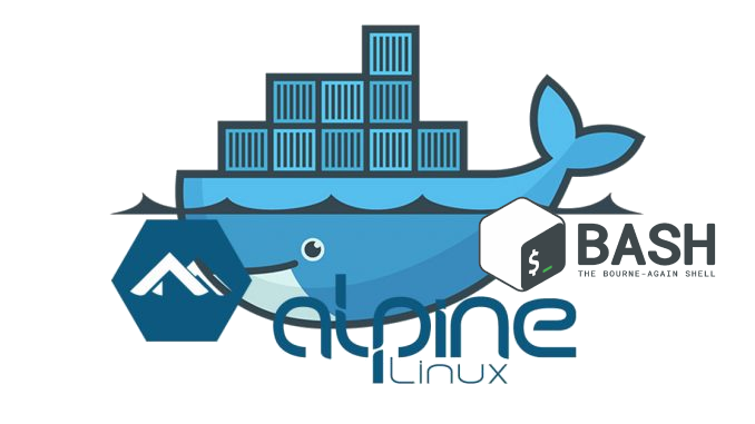 Docker bash